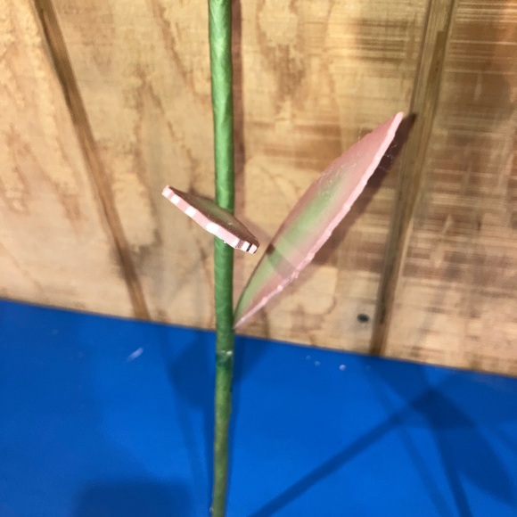 Carnivorous Plants Decor Man Eating Plants Room Decor - Picture 9 of 9